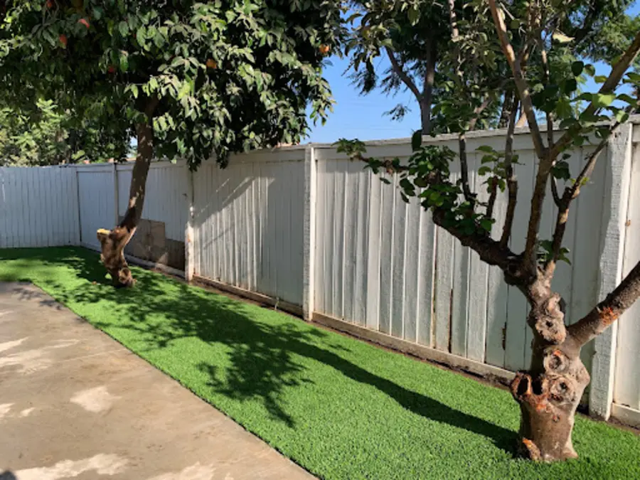 New turf blended cleanly around backyard trees, from this reviewer’s photos